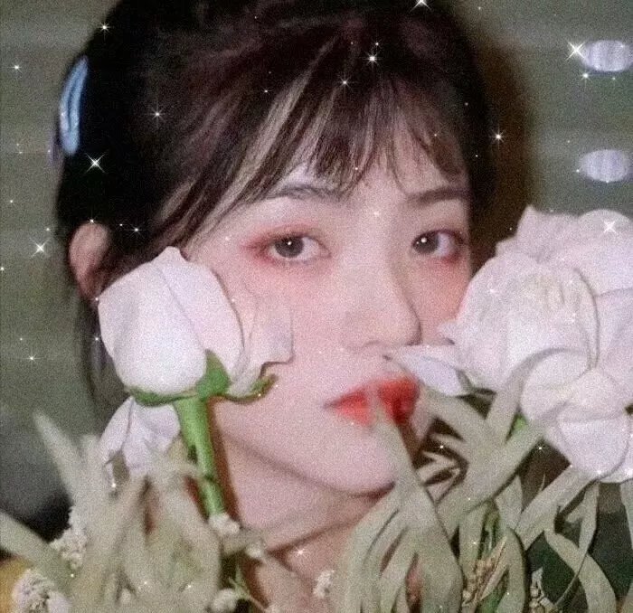 疯狂的麦咭第一季 在线观看